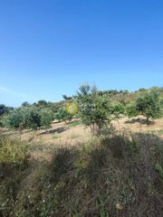 Οικόπεδο 4.600 τ.μ. για πώληση, Ν. Ρεθύμνου, Αρκάδι-thumb-1