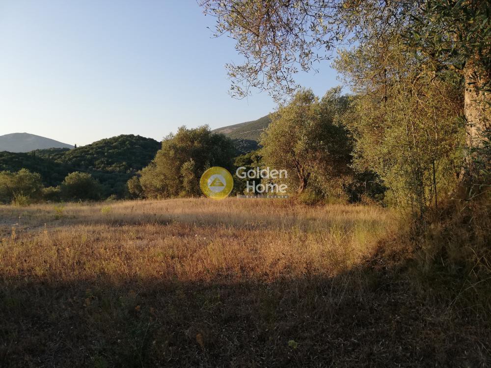 Αγροτεμάχια 15.000 τ.μ. προς πώληση, Πολυνέρι Συβότων