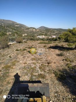Αγροτεμάχια 5.645 τ.μ. για πώληση