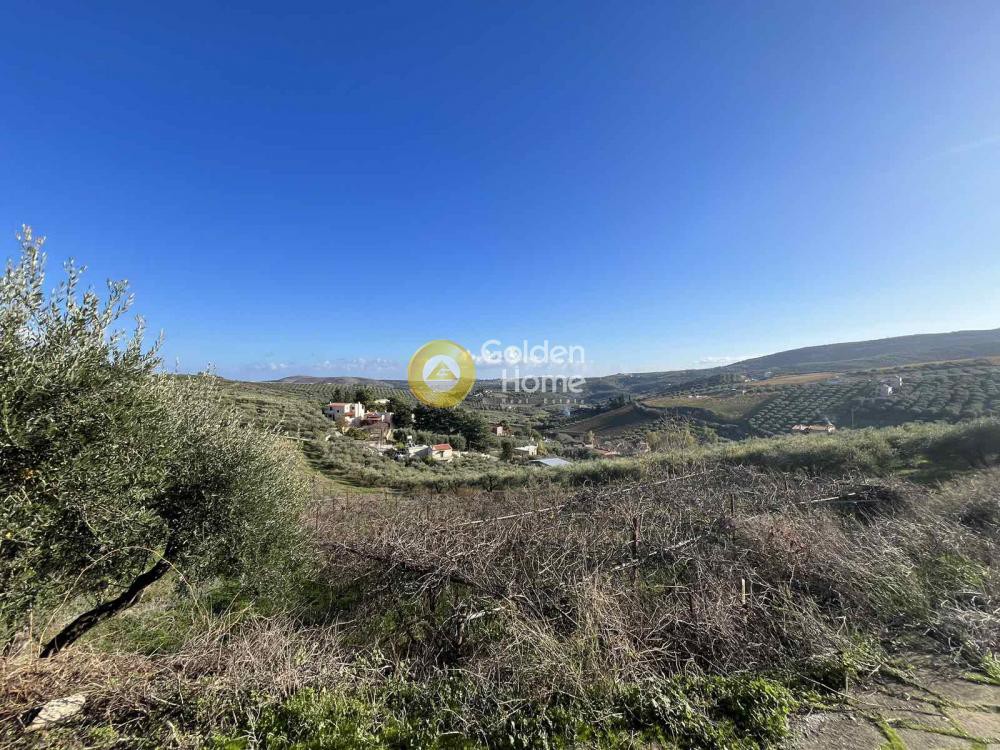 Οικόπεδο 422 τ.μ. προς πώληση, Σίλαμος