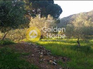 Αγροτεμάχια 1.036 τ.μ. για πώληση