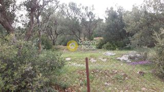 Αγροτεμάχια 1.170 τ.μ. προς πώληση