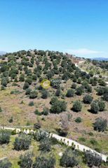 Αγροτεμάχια 19.000 τ.μ. για πώληση