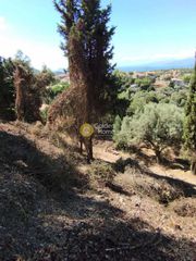 Οικόπεδο 1.072 τ.μ. για πώληση, Ν. Λευκάδας, Λευκάδα-thumb-4