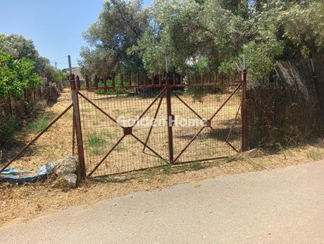 Land plot 550 sqm for sale
