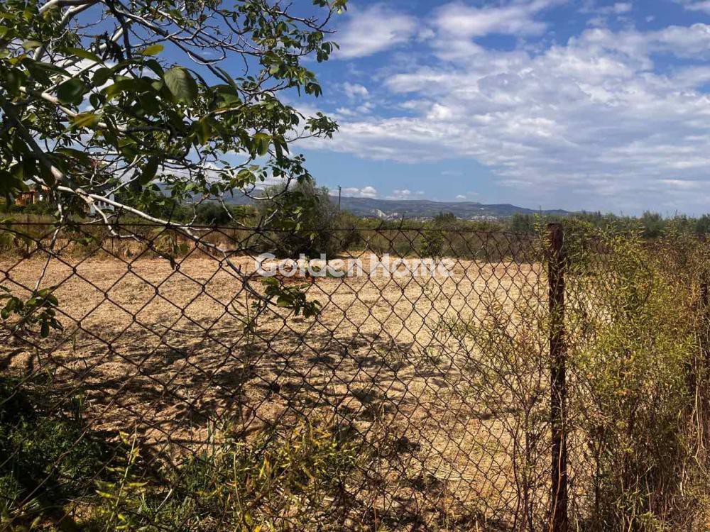 Οικόπεδο 551 τ.μ. προς πώληση, Ευαγγελίστρια Βόχας