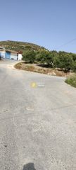 Οικόπεδο 10.000 τ.μ. για πώληση