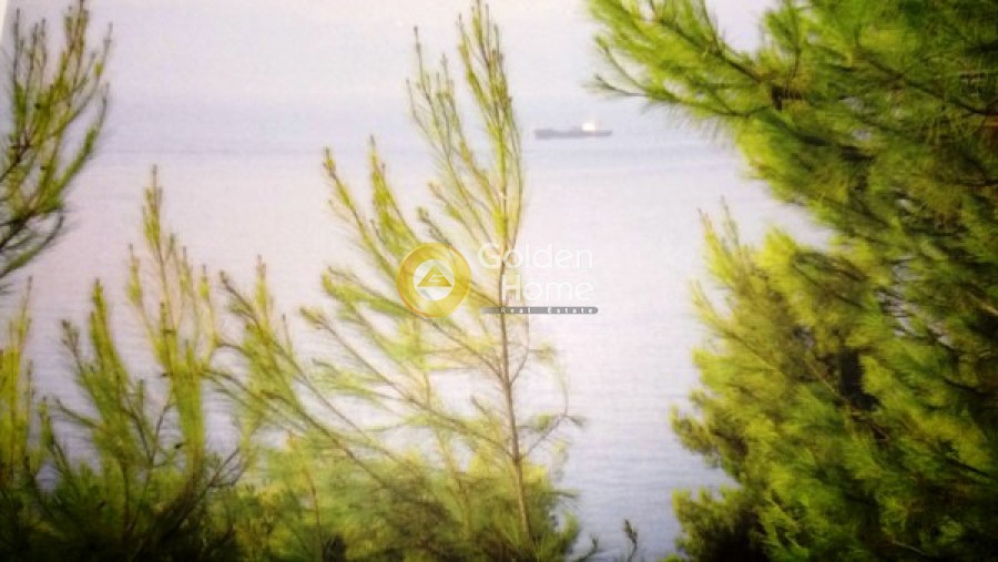 Μονοκατοικία 185 τ.μ. πρός πώληση, Μαγνησία, Σηπιάδα