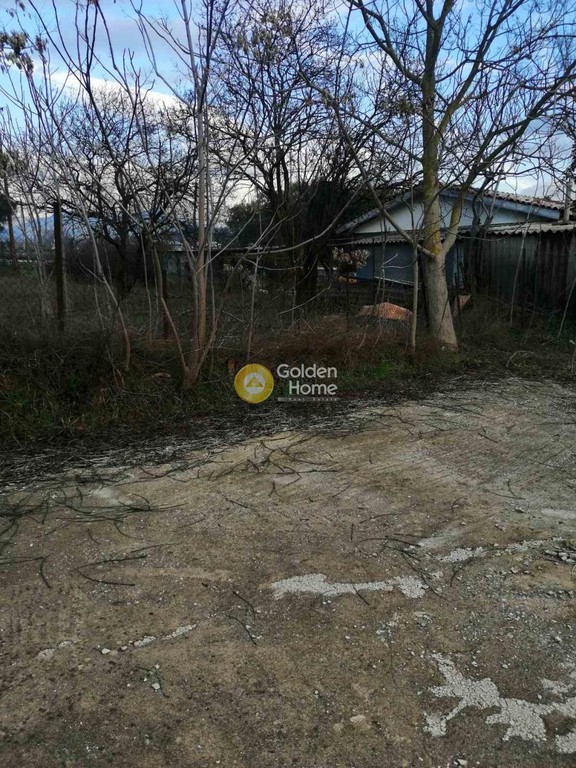 Αγροτεμάχια 1.226 τ.μ. πρός ενοικίαση, Θεσσαλονίκη - Περιφ/Κοί Δήμοι, Πυλαία