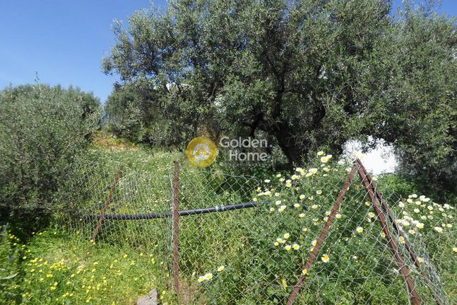 Οικόπεδο 3.306 τ.μ. για πώληση, Ν. Ηρακλείου, Μάλλια