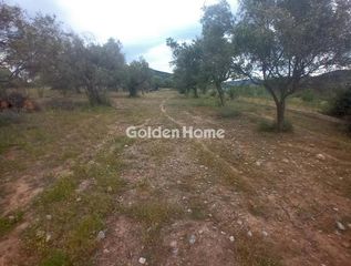 Αγροτεμάχια 18.500 τ.μ. για πώληση