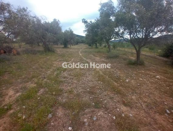 Parcel 18.500 sqm for sale, Rest Of Attica, Kalivia Thorikou