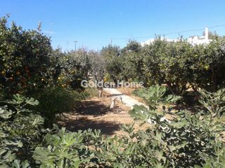 Μονοκατοικία 290 τ.μ. για πώληση, Κυκλάδες, Πάρος-thumb-2