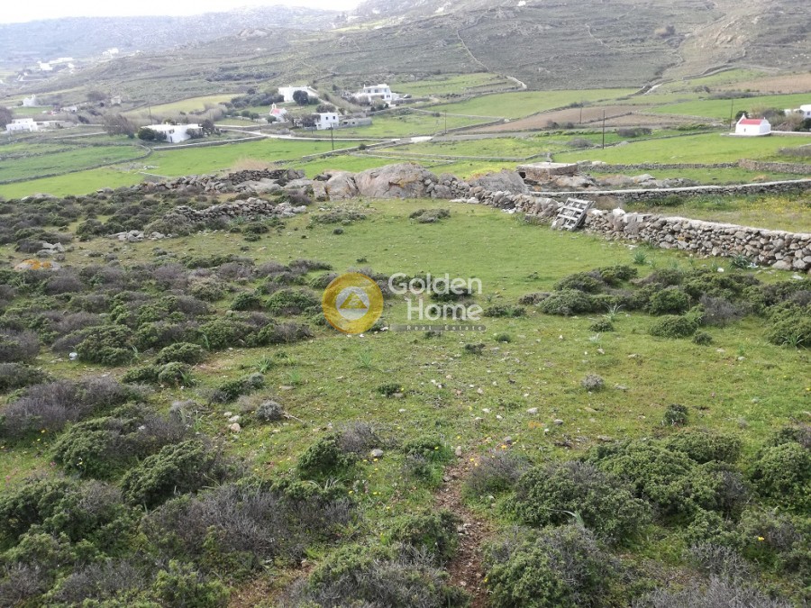 Οικόπεδο 15.042 τ.μ. προς πώληση, Άνω Μερά
