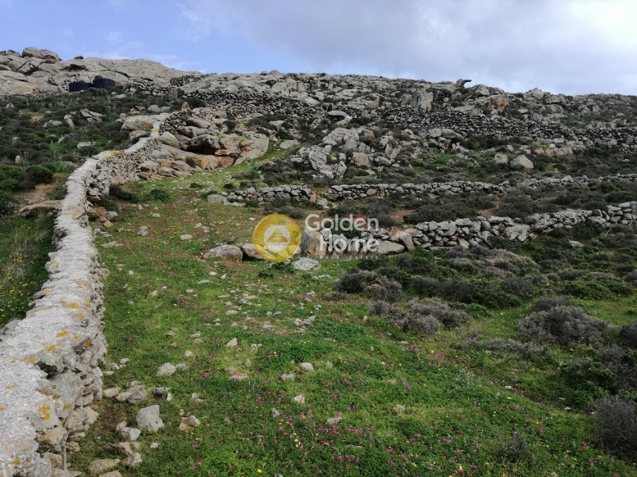 Οικόπεδο 15.042 τ.μ. προς πώληση, Άνω Μερά