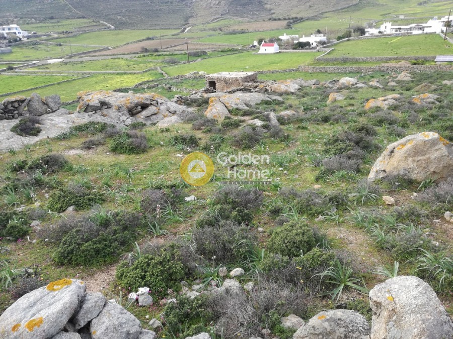 Οικόπεδο 15.042 τ.μ. προς πώληση, Άνω Μερά