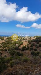 Οικόπεδο 14.000 τ.μ. για πώληση