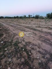 Αγροτεμάχια 3.830 τ.μ. για ενοικίαση
