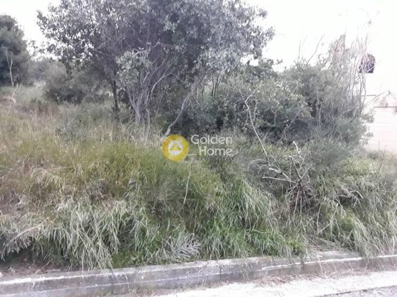 Οικόπεδο 531 τ.μ. για πώληση, Αττική - Υπόλοιπο, Ραφήνα