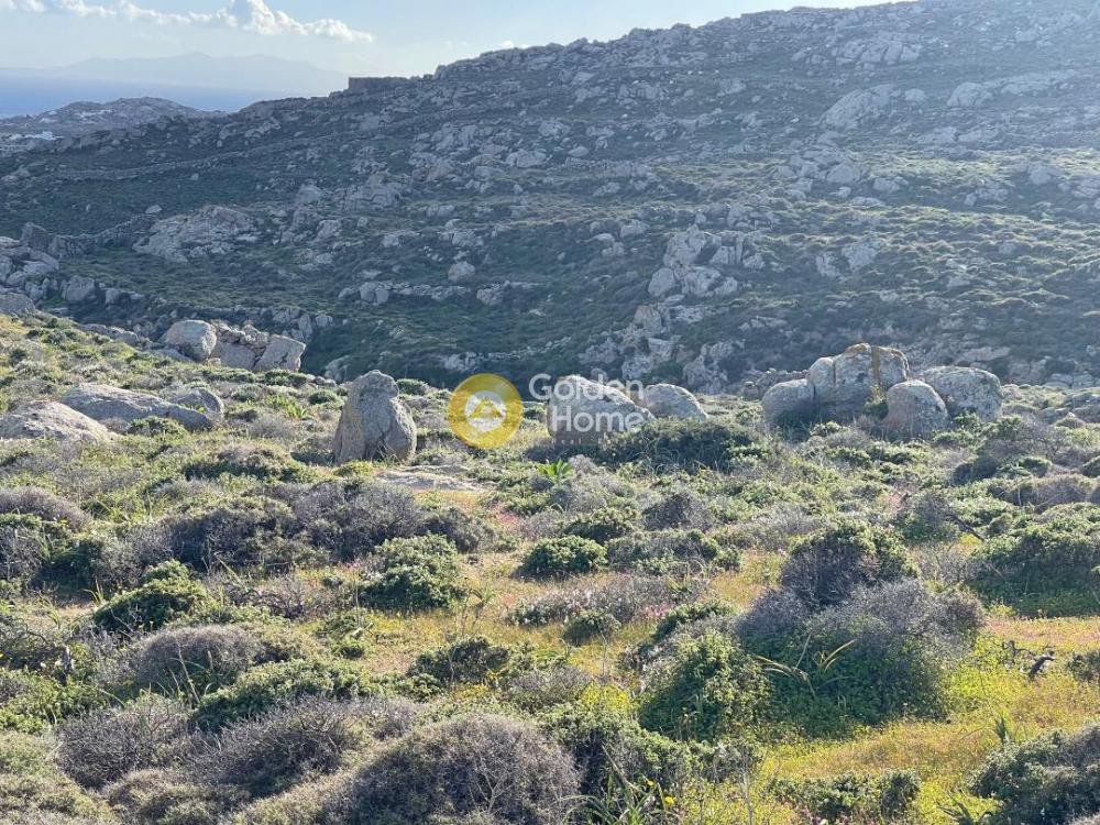 Αγροτεμάχια 9.000 τ.μ. προς πώληση, Κλουβάς