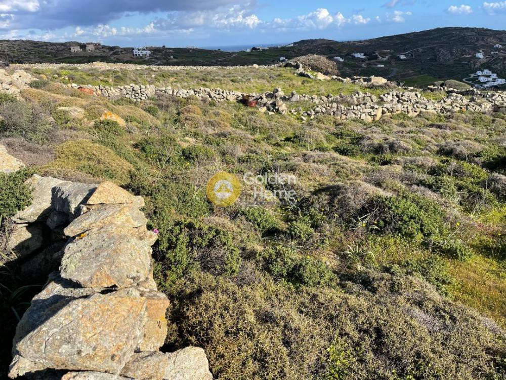 Αγροτεμάχια 9.000 τ.μ. προς πώληση, Κλουβάς