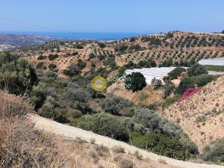 Οικόπεδο 20.500 τ.μ. για πώληση
