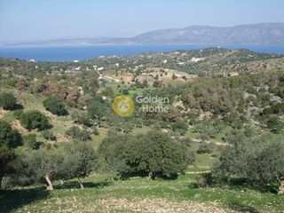 Οικόπεδο 24.000 τ.μ. για πώληση