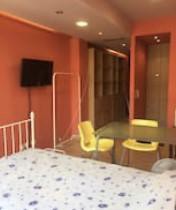 Studio / γκαρσονιέρα 58 τ.μ. προς πώληση, Πλατεία Καρύτση