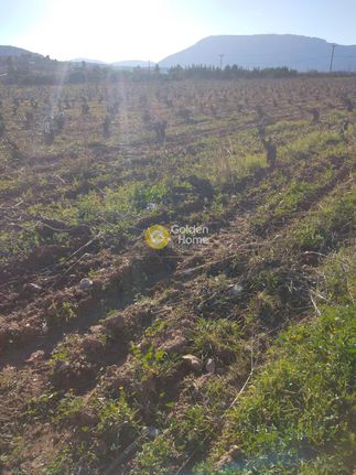 Parcel 800 sqm for sale, Athens - East, Paiania