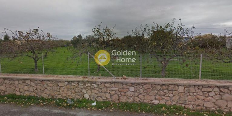 Land plot 5.000 sqm for sale, Argosaronikos Islands, Aegina