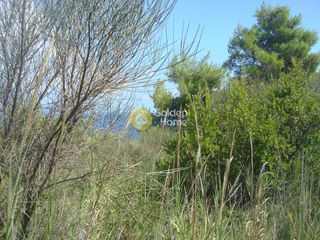 Οικόπεδο 2.302 τ.μ. για πώληση, Εύβοια, Κύμη-thumb-3