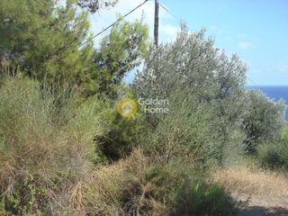 Οικόπεδο 2.302 τ.μ. για πώληση, Εύβοια, Κύμη-thumb-2