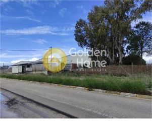 Βιομηχανικός χώρος 8.685 τ.μ. για πώληση