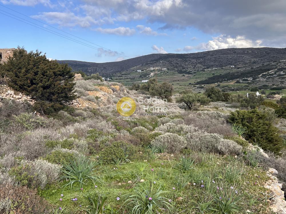 Αγροτεμάχια 8.590 τ.μ. προς πώληση, Κώστος