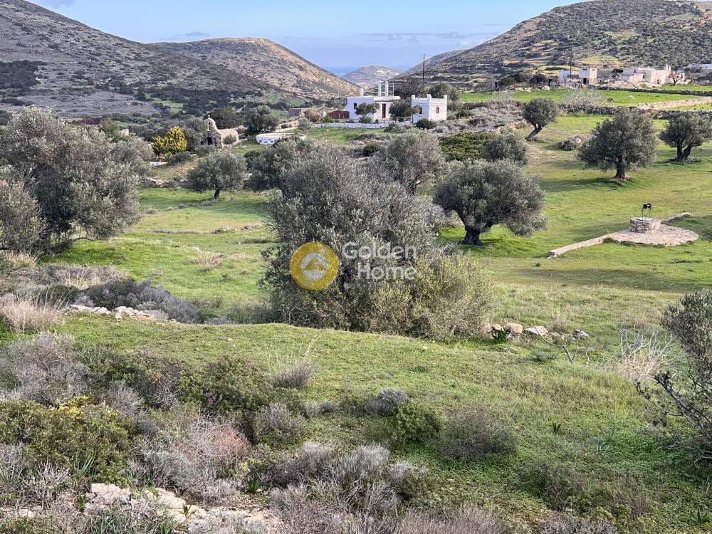 Αγροτεμάχια 8.590 τ.μ. προς πώληση, Κώστος