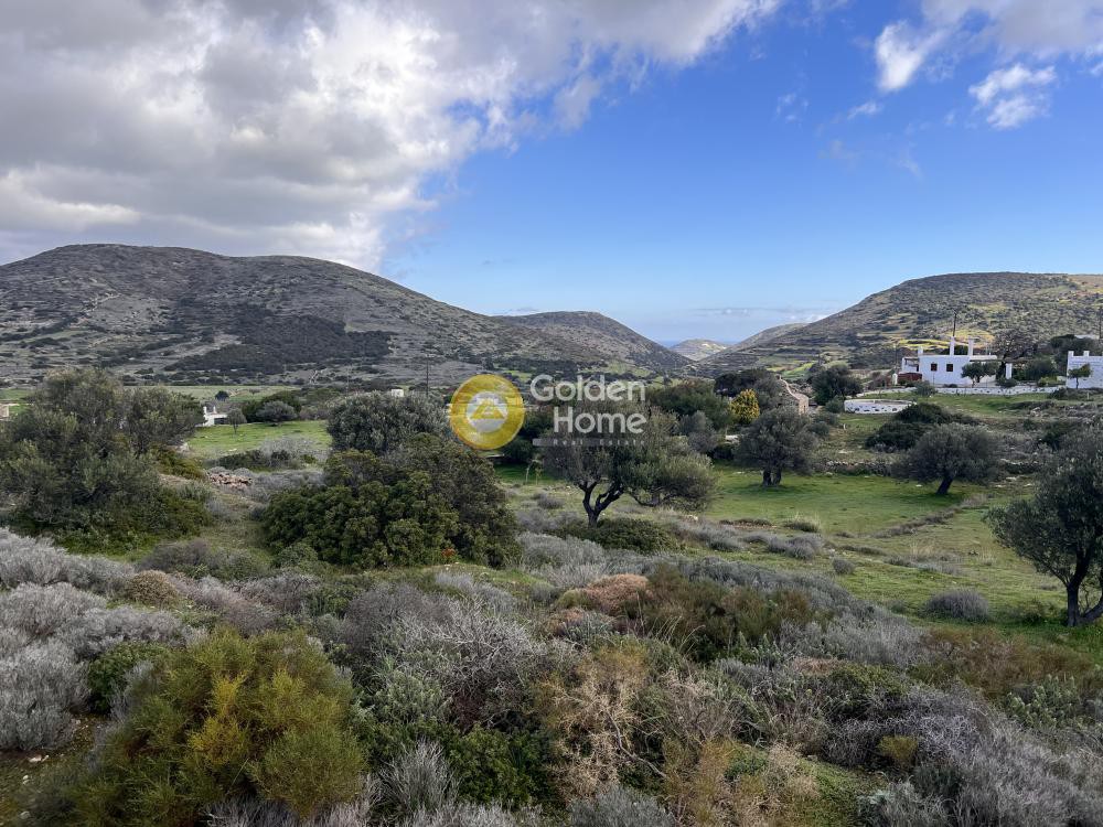 Αγροτεμάχια 8.590 τ.μ. προς πώληση, Κώστος