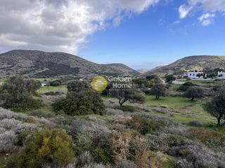 Αγροτεμάχια 8.590 τ.μ. για πώληση