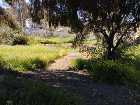 Οικόπεδο 840τ.μ. για πώληση-Μελίσσια » Όριο κηφισιάς