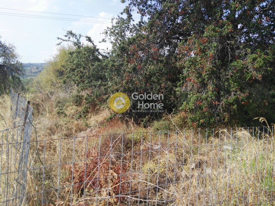 Οικόπεδο 430 τ.μ. προς πώληση, Οικοδομικός Συνεταιρισμός Υπαλλήλων ΔΕΗ