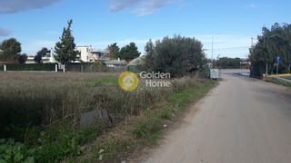 Οικόπεδο 8.000 τ.μ. για πώληση