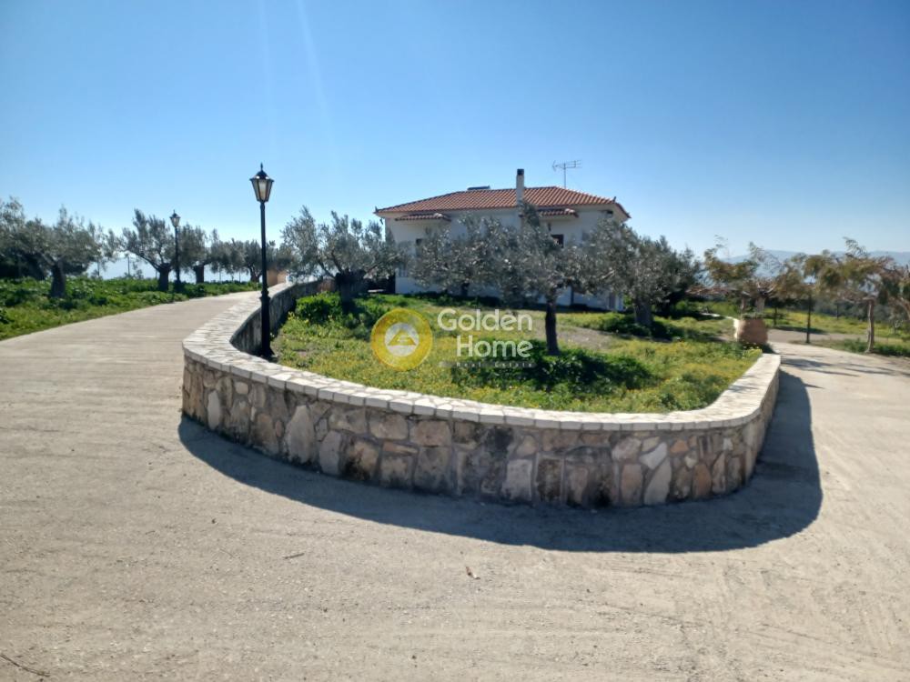 Αγροτεμάχια 14.410 τ.μ. προς πώληση, Παλαιό Καλαμάκι