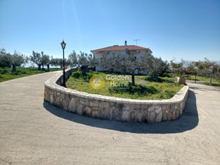 Αγροτεμάχια 14.410 τ.μ. για πώληση