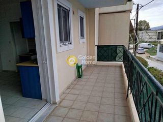 Studio / γκαρσονιέρα 30 τ.μ. για ενοικίαση, Αχαΐα, Πάτρα-thumb-8