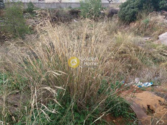 Οικόπεδο 522 τ.μ. για πώληση, Αττική - Υπόλοιπο, Καλύβια Θορικού