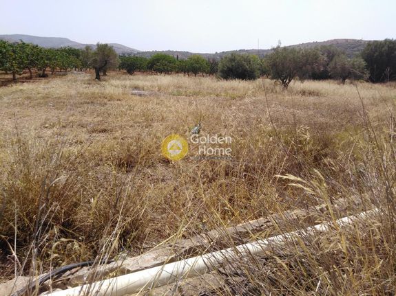 Αγροτεμάχια 2.000 τ.μ. για πώληση, Νησιά Αργοσαρωνικού, Σαλαμίνα