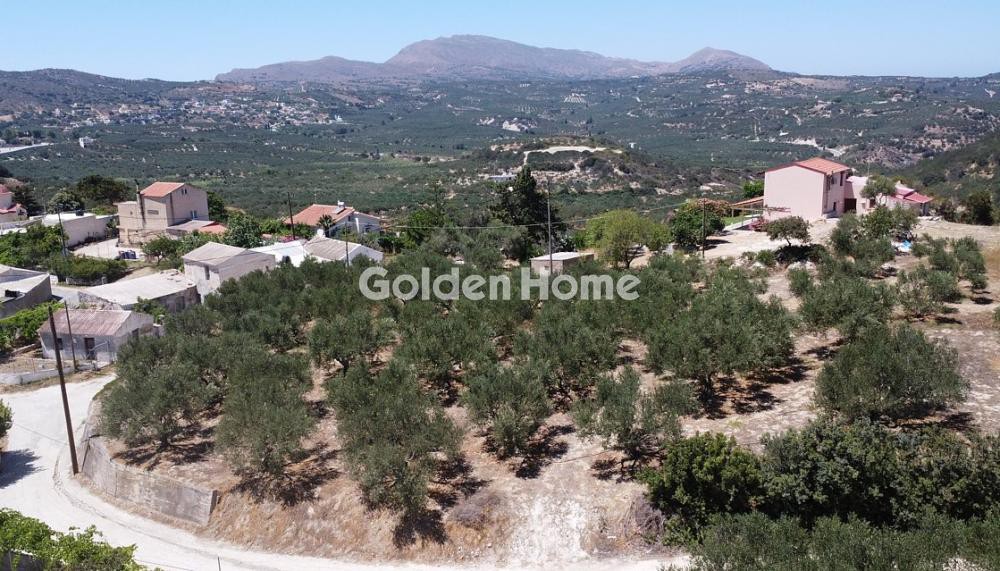 Οικόπεδο 1.027 τ.μ. προς πώληση, Καλυδονία