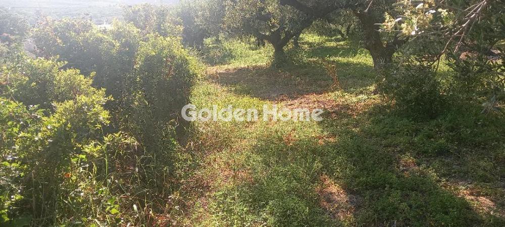 Οικόπεδο 1.027 τ.μ. προς πώληση, Καλυδονία