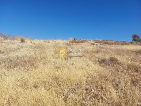 Αγροτεμάχια 1.136τ.μ. για πώληση-Κερατέα » Κέντρο