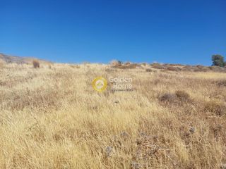 Αγροτεμάχια 1.136 τ.μ. για πώληση
