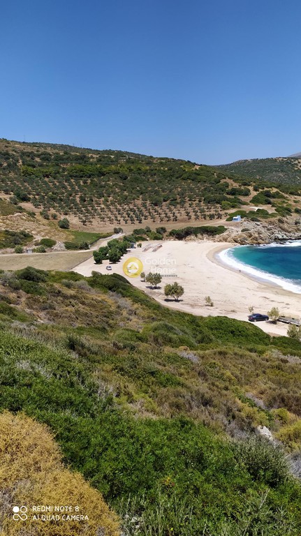 Οικόπεδο 565 τ.μ. προς πώληση, Άγιοι Απόστολοι Δύστου